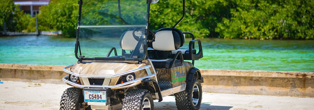 AGM Battery Golf Cart