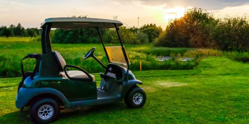 Golf Cart Battery