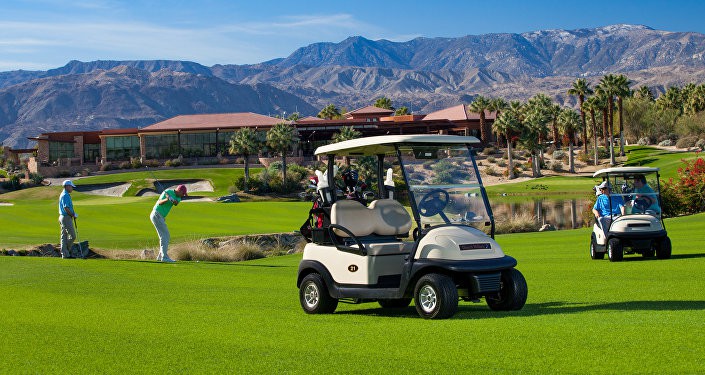 Golf cart battery