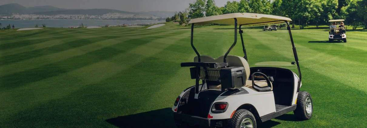 Golf cart overcharge