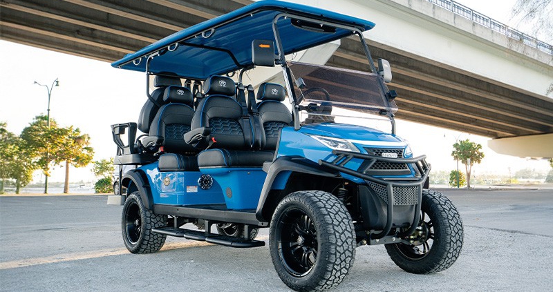 Lead Acid Battery For Golf Cart