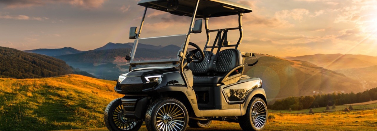 best lead acid golf cart