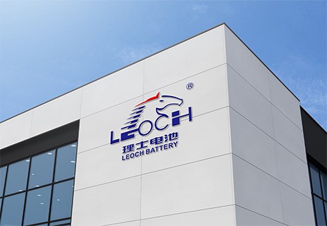 leoch battery