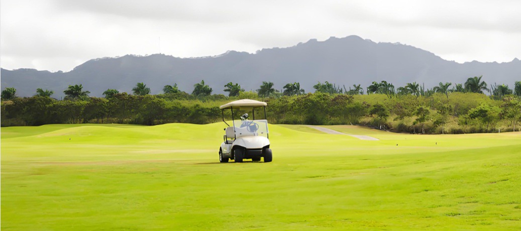 lithium batteries for golf carts​
