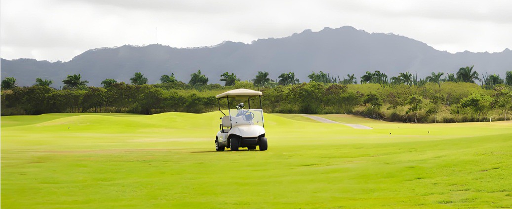 lithium batteries for golf carts​